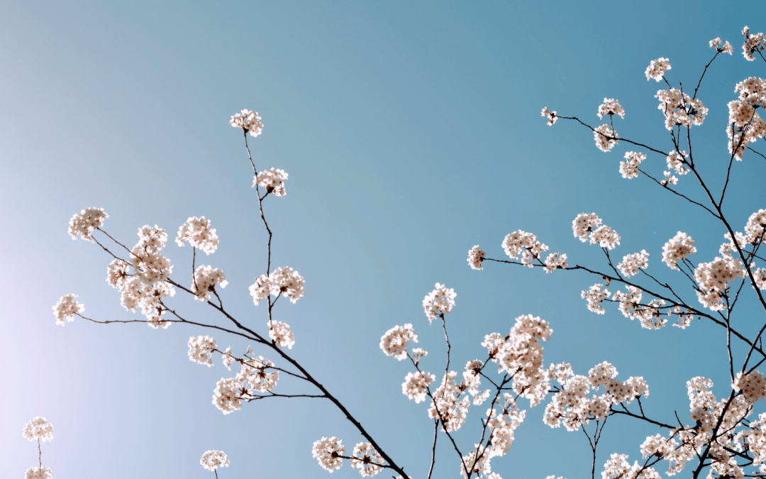 What Fresh Wind Do You Want Breathed Into Your Life?